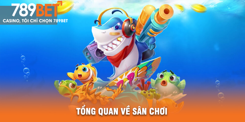 Tổng Quan Về Sân Chơi