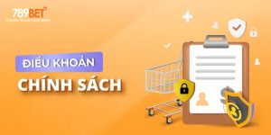 Những Điều Cần Biết Về Điều Khoản Sử Dụng