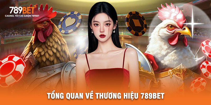 Tổng Quan Về Thương Hiệu